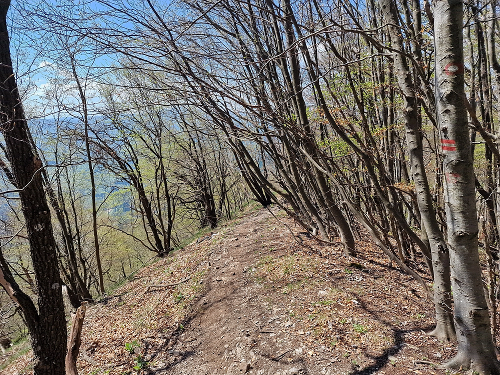 Malič, 18. 4. 2026