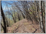 Slika_051.webp
