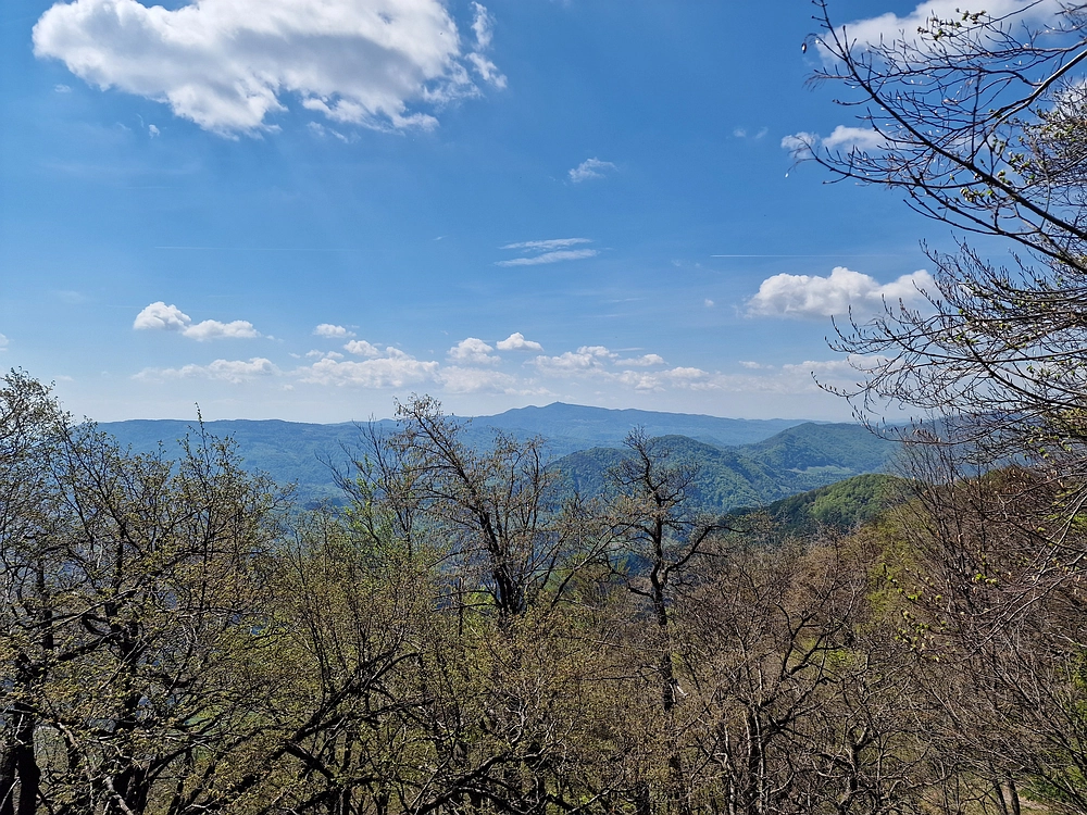 Malič, 18. 4. 2026