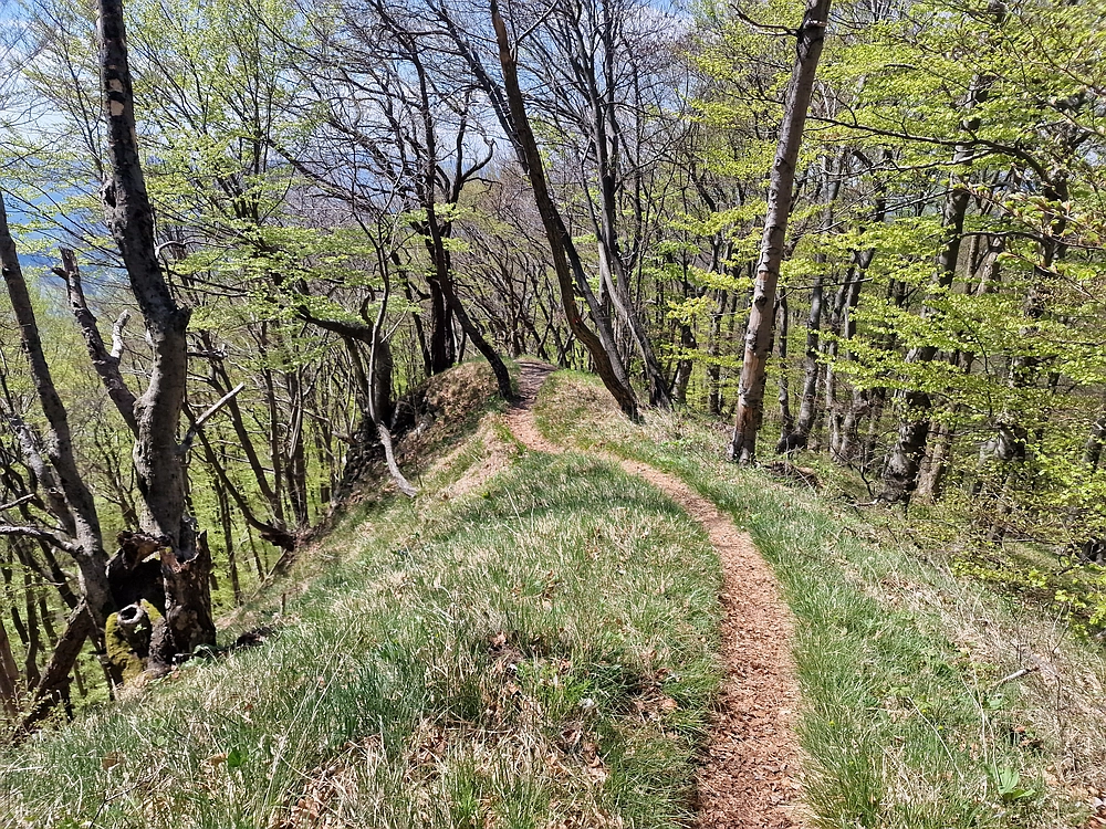 Malič, 18. 4. 2026