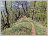 Slika_055.webp