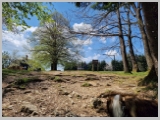 Slika_061.webp