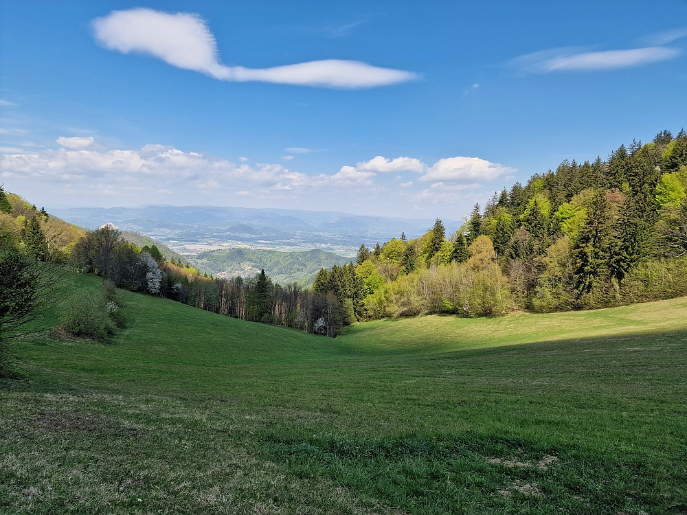 Malič, 18. 4. 2026