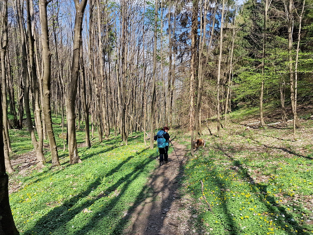 Malič, 18. 4. 2026