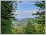 Slika_073.webp