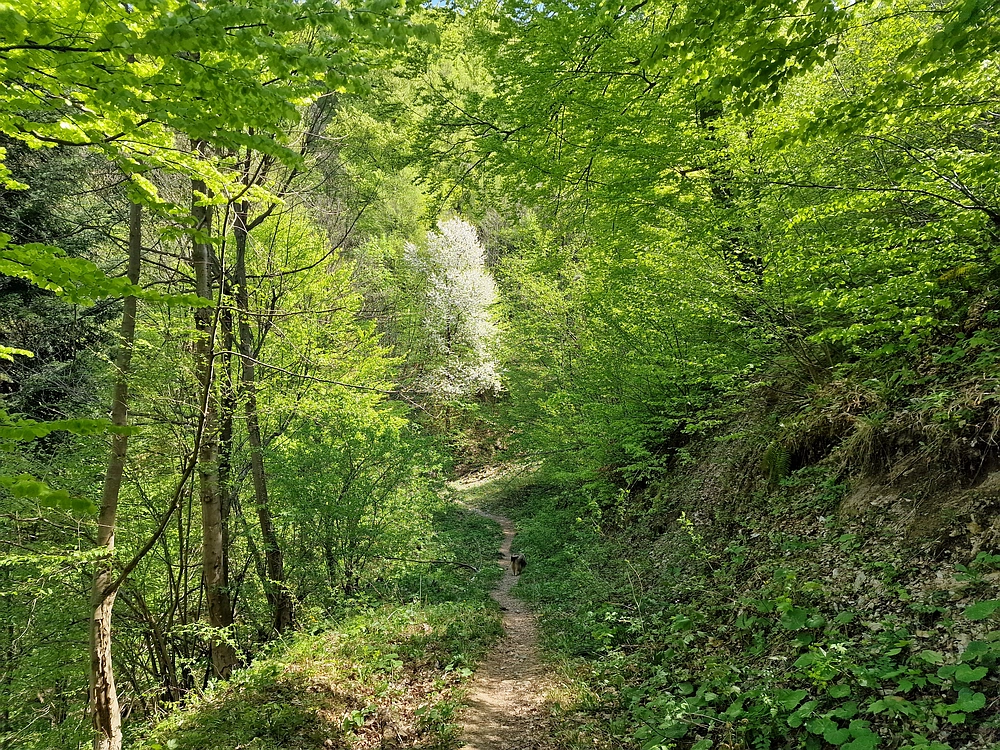 Malič, 18. 4. 2026
