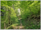 Slika_074.webp