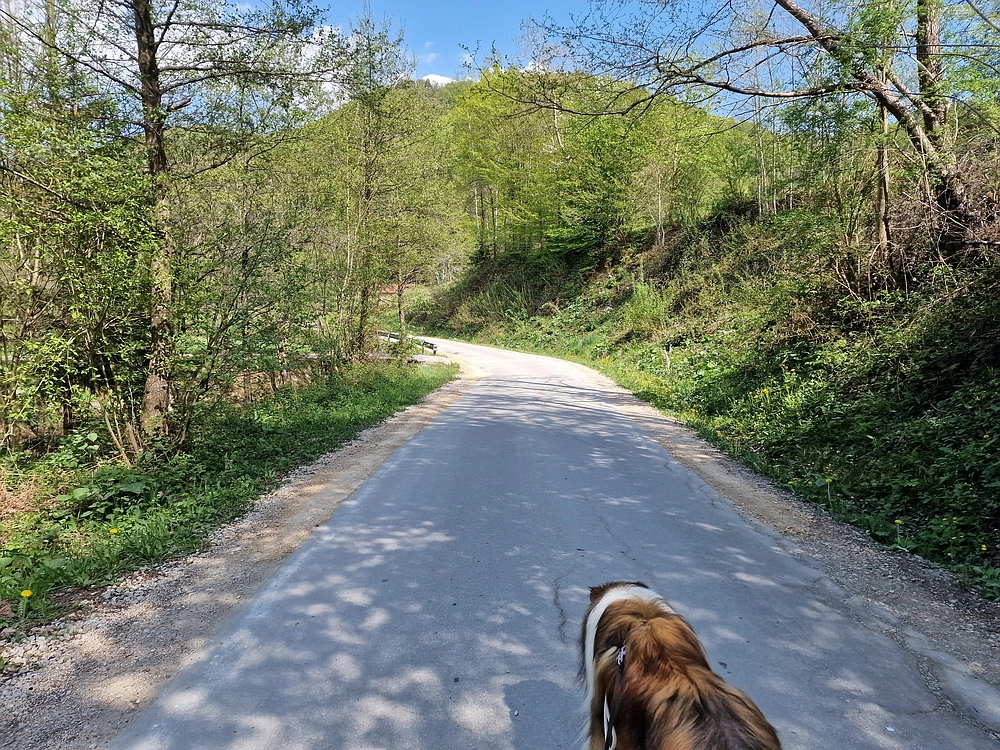 Malič, 18. 4. 2026