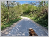 Slika_078.webp