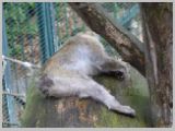 Wien_ZOO-015.webp