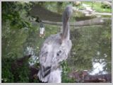 Wien_ZOO-034.webp