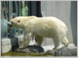 Wien_ZOO-055.webp