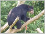 Wien_ZOO-061.webp