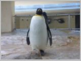 Wien_ZOO-063.webp