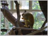 Wien_ZOO-076.webp