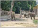 Wien_ZOO-077.webp