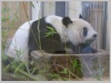 Wien_ZOO-107.webp