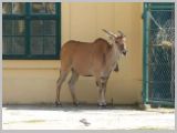 Wien_ZOO-115.webp