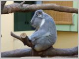 Wien_ZOO-118.webp