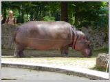 Wien_ZOO-123.webp