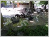 Wien_ZOO-138.webp