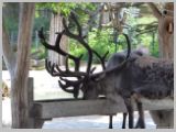 Wien_ZOO-148.webp