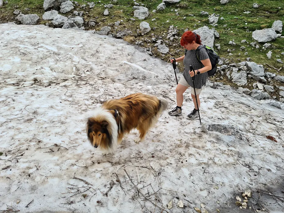 Slika je vidna v Google Chromu.