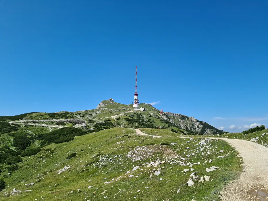 Slika je vidna v Google Chromu.