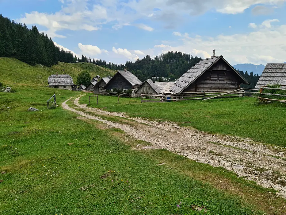 Slika je vidna v Google Chromu.