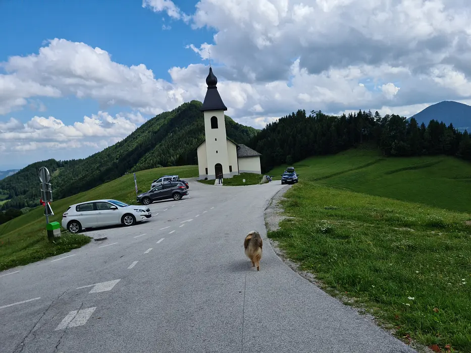 Slika je vidna v Google Chromu.