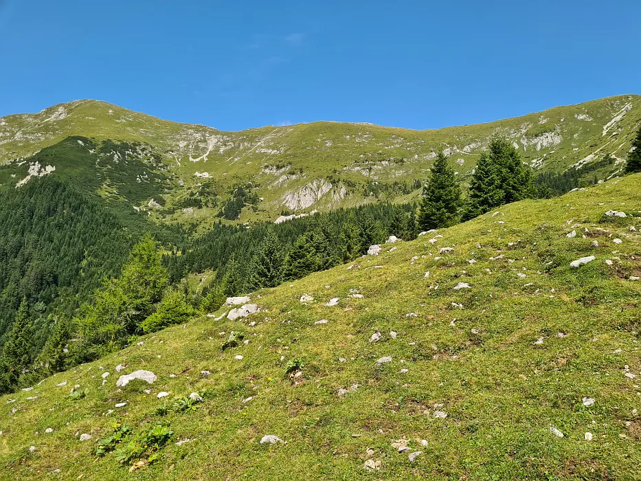 Slika je vidna v Google Chromu.