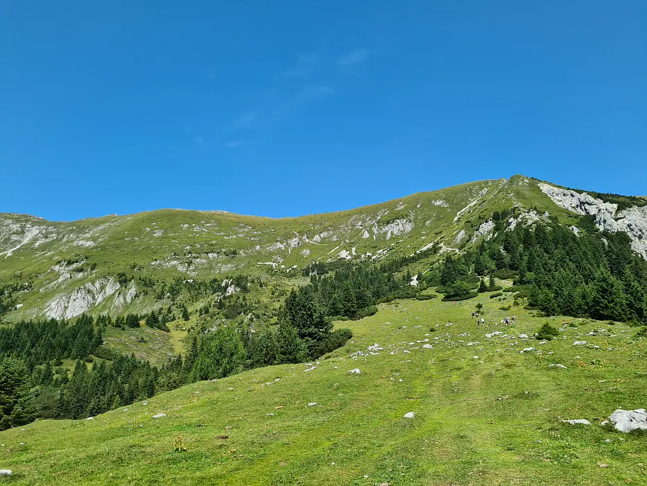 Slika je vidna v Google Chromu.