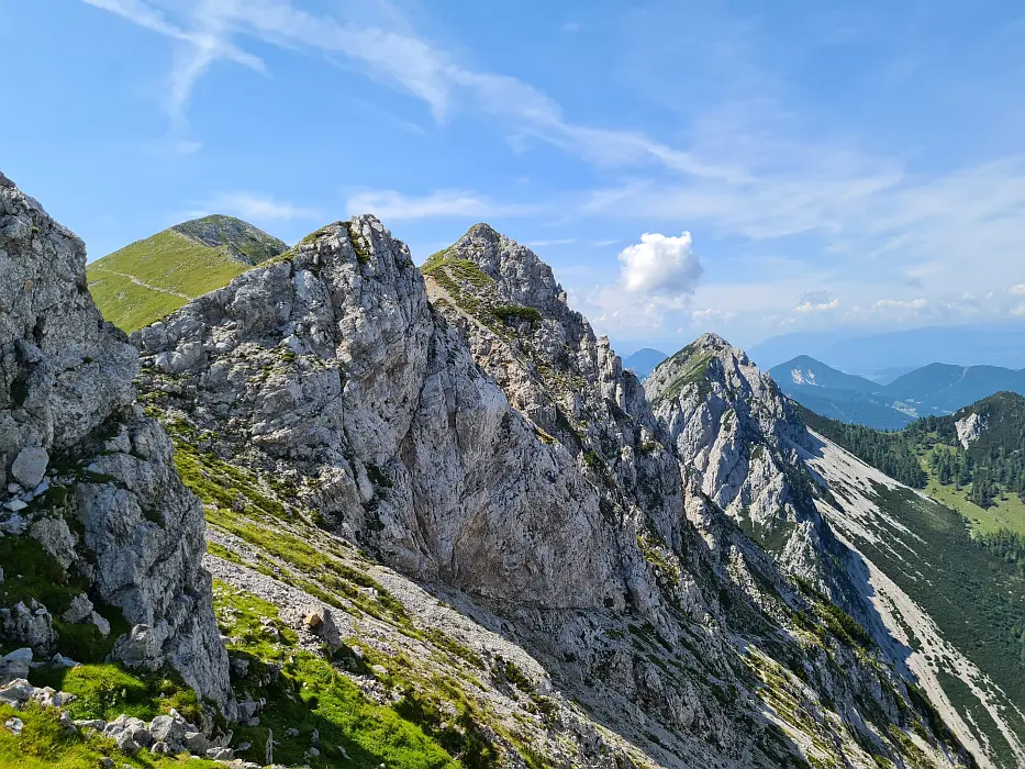 Slika je vidna v Google Chromu.