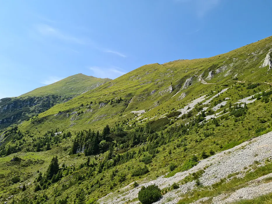 Slika je vidna v Google Chromu.