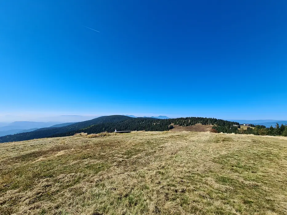 Slika je vidna v Google Chromu.