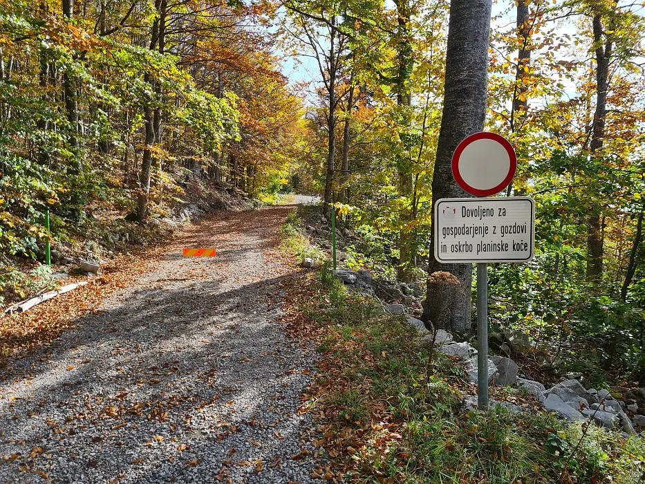 Slika je vidna v Google Chromu.