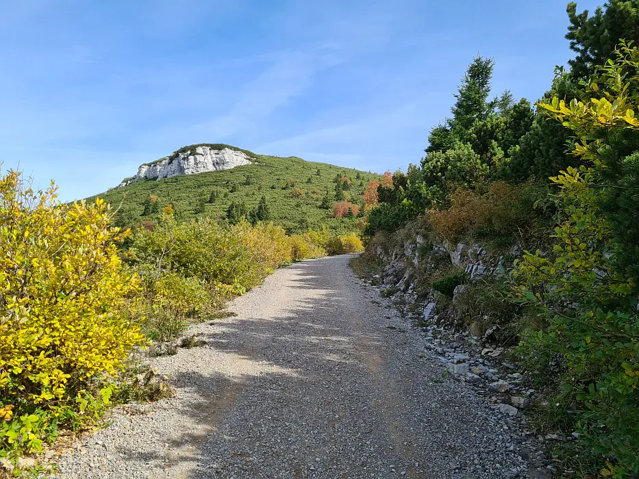 Slika je vidna v Google Chromu.