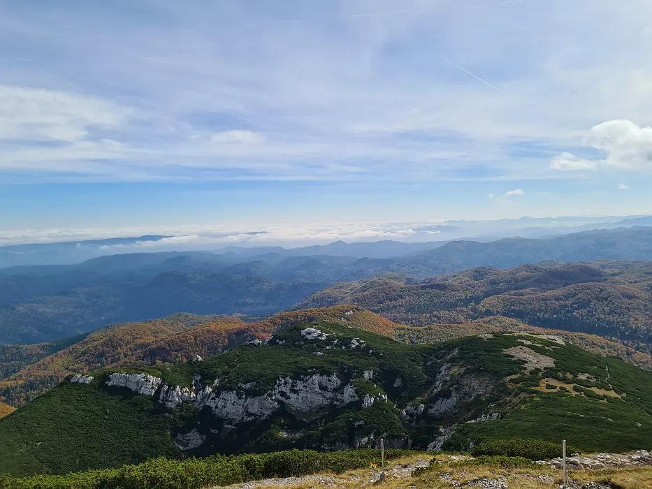 Slika je vidna v Google Chromu.