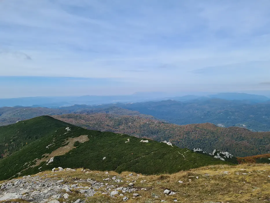 Slika je vidna v Google Chromu.