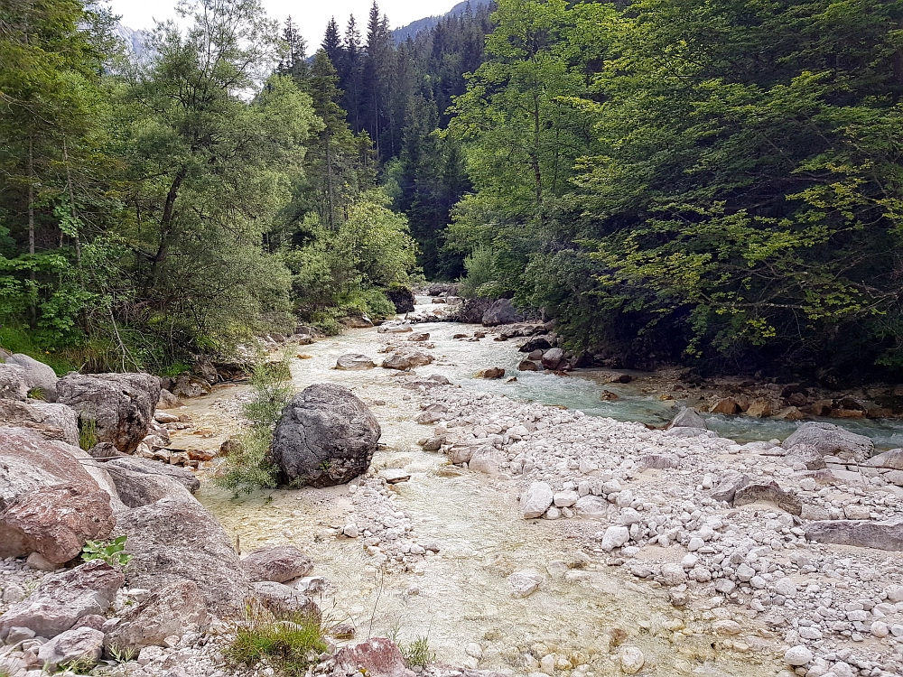 Slika je vidna v Google Chromu.