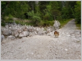 Kranjska_Gora_20-016.webp