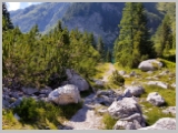 Kranjska_Gora_20-142.webp