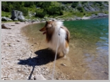 Kranjska_Gora_20-145.webp