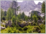 Kranjska_Gora_20-178.webp