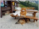 Kranjska_Gora_20-187.webp