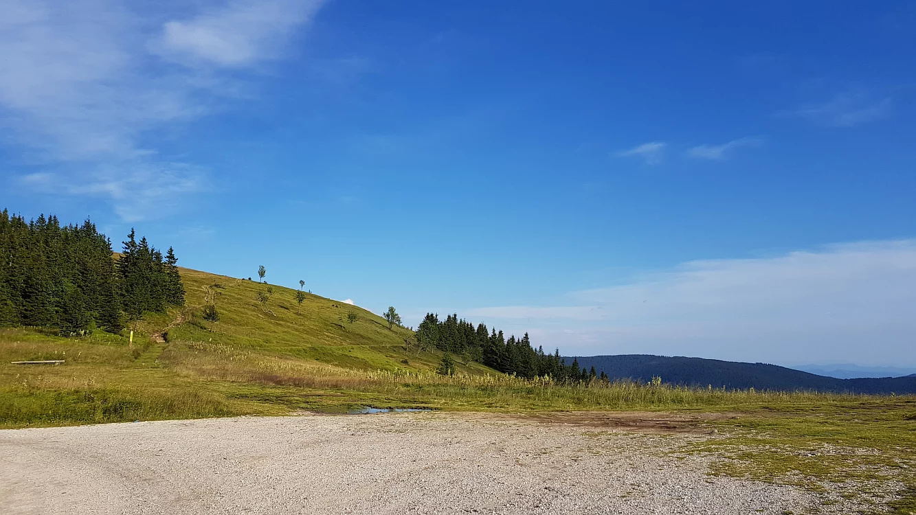 Slika je vidna v Google Chromu.