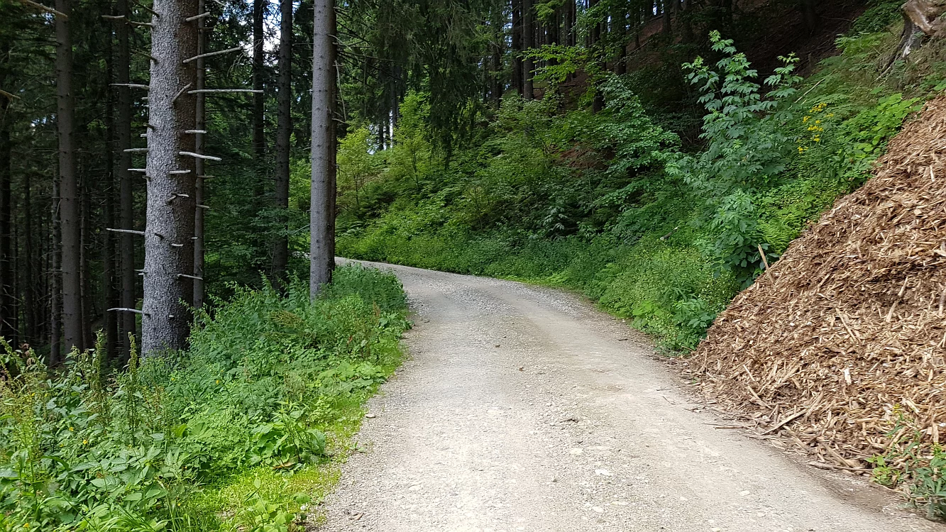 Slika je vidna v Google Chromu.