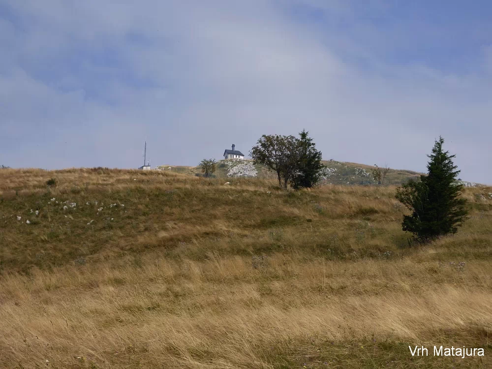 Slika je vidna v Google Chromu.